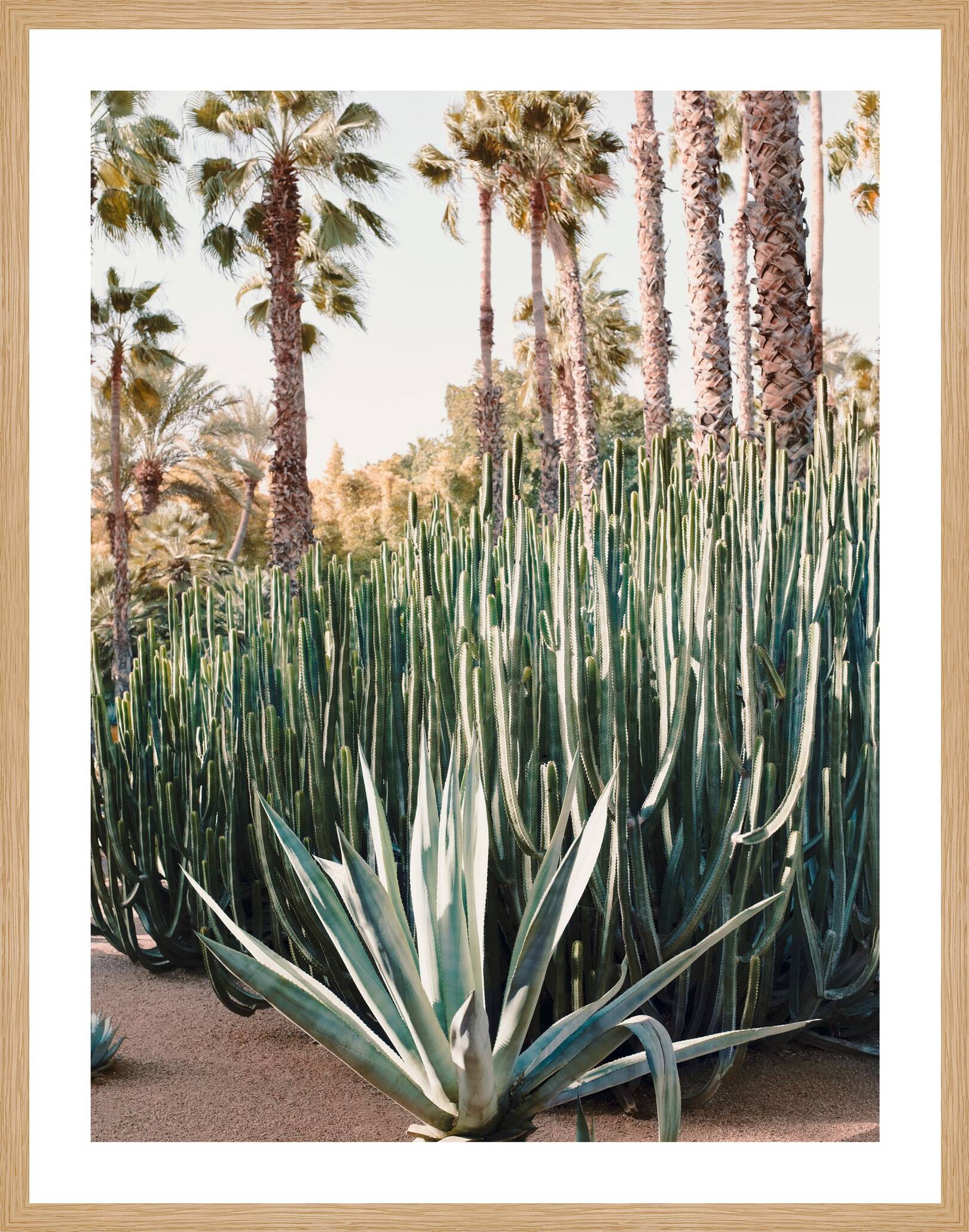 Jardin Majorelle III by Simon Watson - Limited Edition. Edition of: 150. Signed.