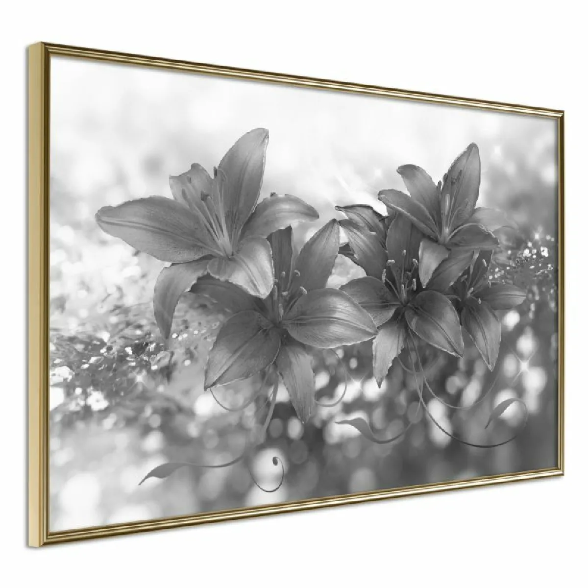 Paris Prix Affiche Dark Lillies