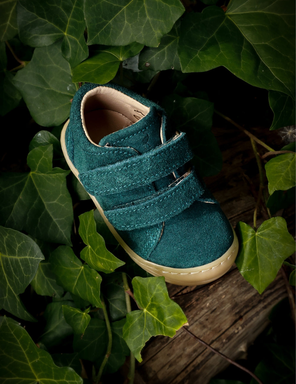Everyday shoe Velcro - Teal Suede