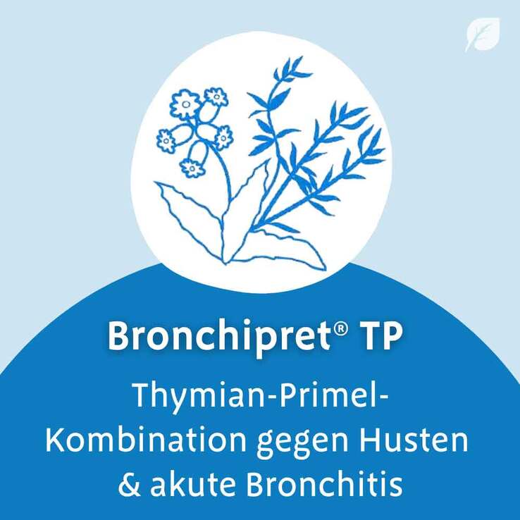 Bronchipret TP Filmtabletten, 100 St