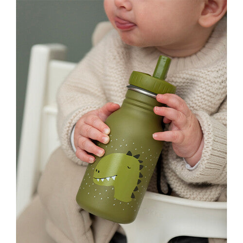 Trixie rvs drinkfles mr. dino - 350 ml