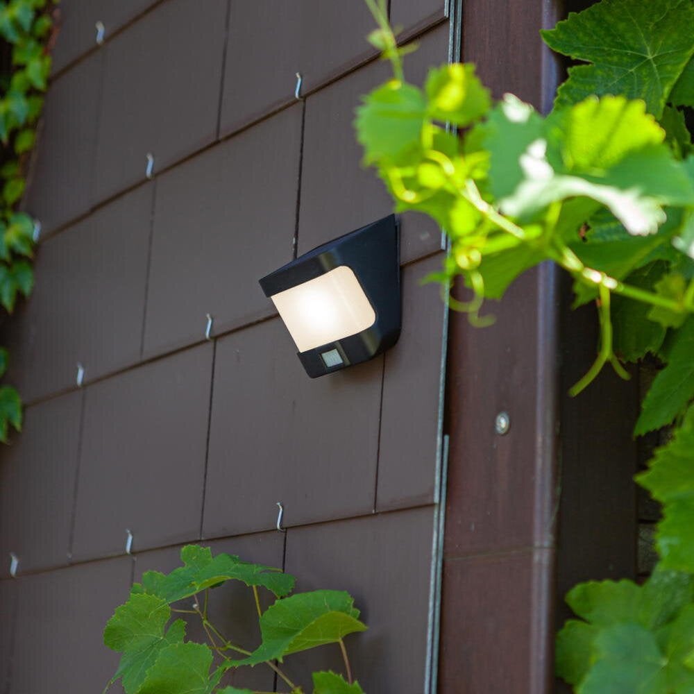 LED Solar Wandlamp Try in Antraciet 8W 500lm IP54 met Bewegingssensor