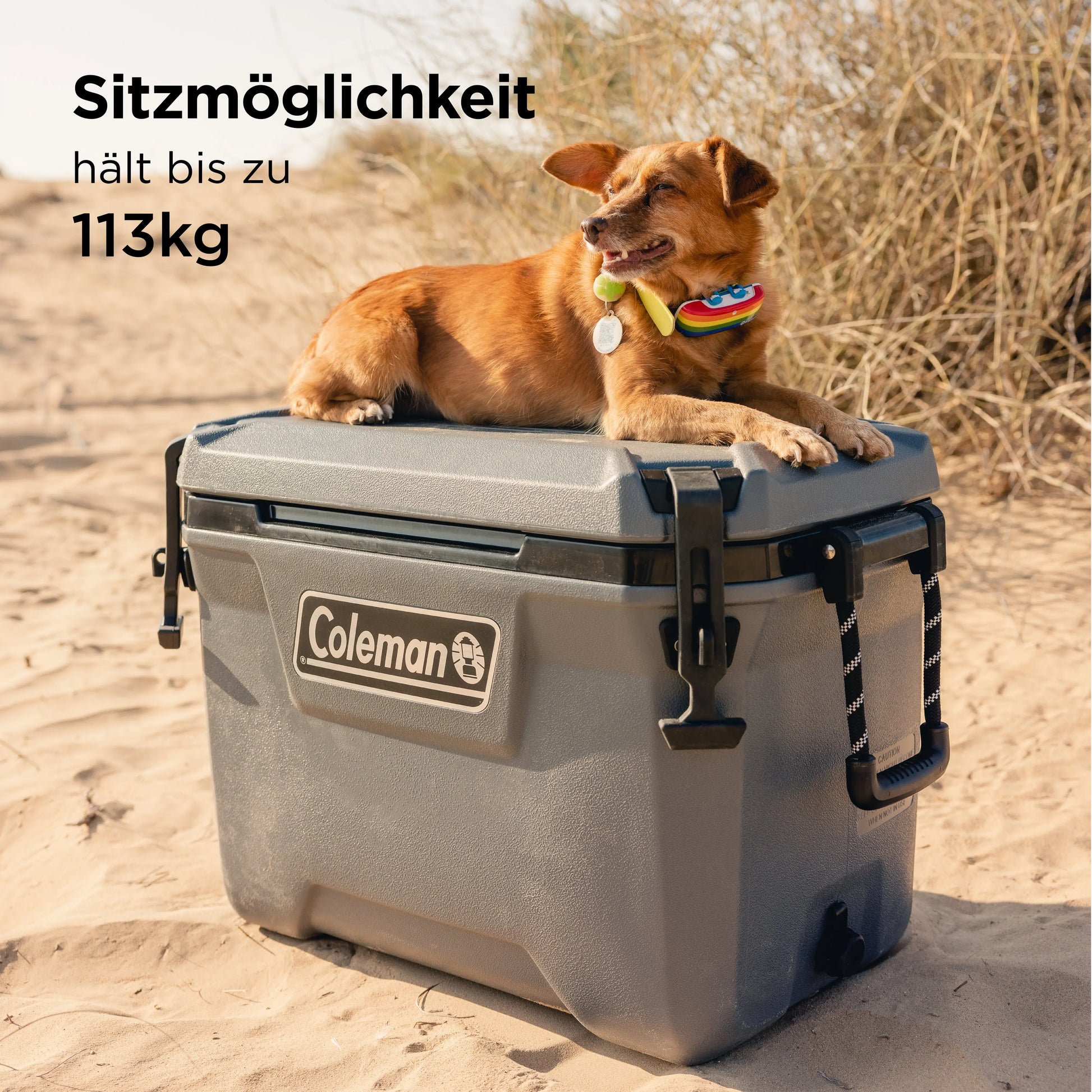 Coleman Convoy 55 QT Kühlbox