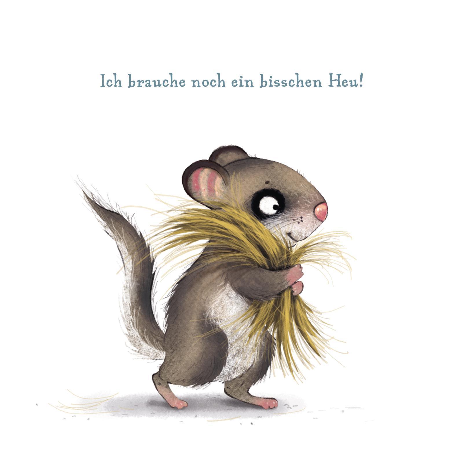 Der kleine Siebenschläfer / Der kleine Siebenschläfer: Das ist noch nicht gemütlich!