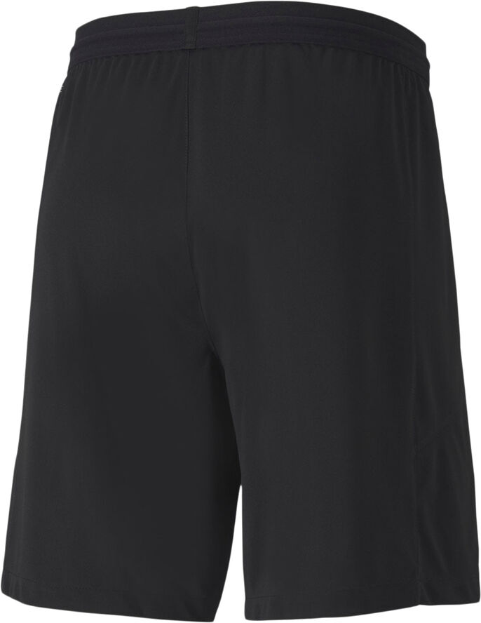 Puma Teamfinal 21 Knit Shorts Sort
