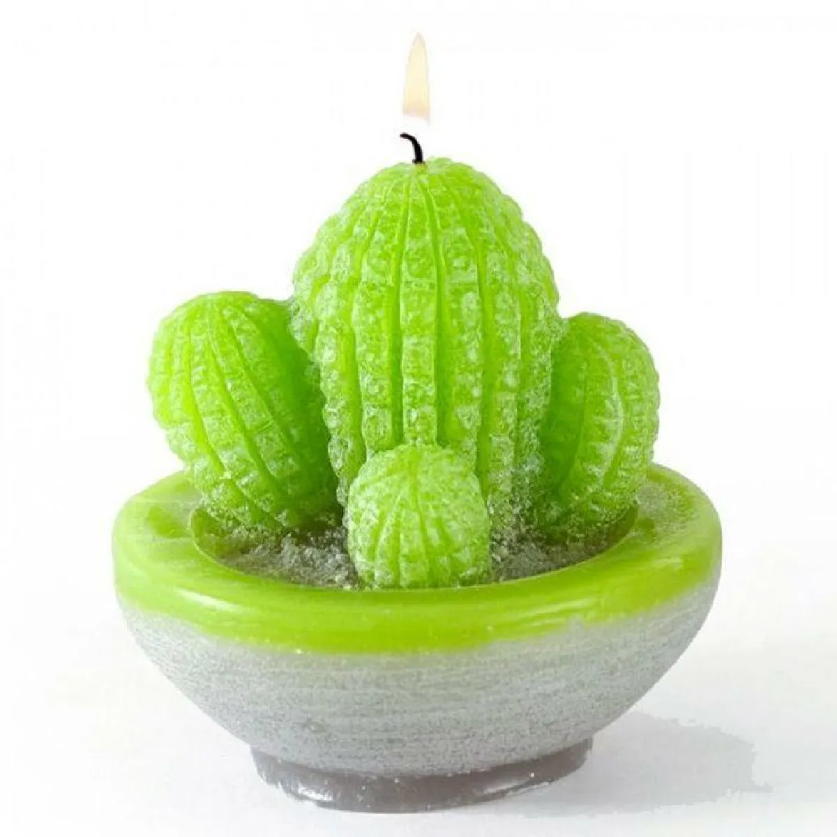Graines Créatives Kit Fabrication Bougies Cactus