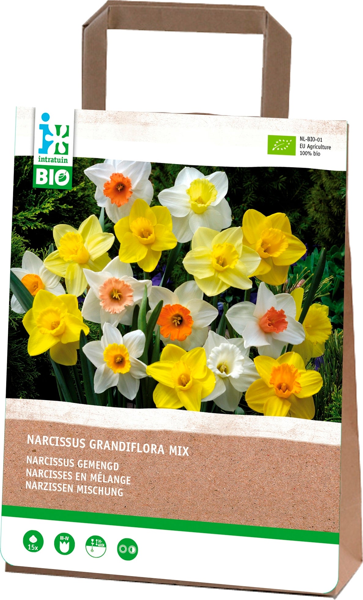 Intratuin biologische Bloembollen Narcis (Narcissus grandiflora) gemengd 15 stuks