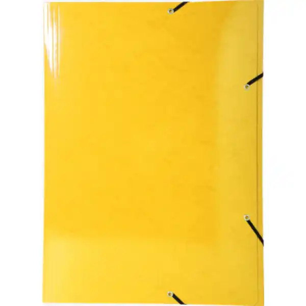 Iderama Sammelmappe mit Gummizug A3, sortiert