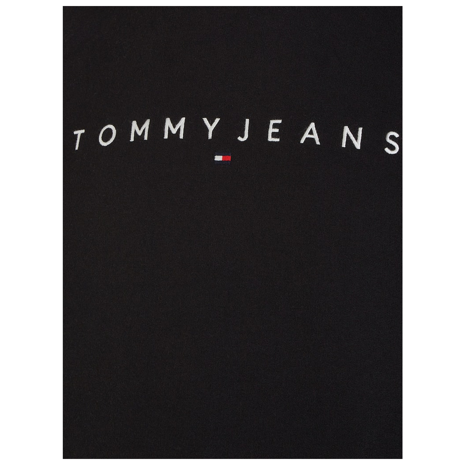 Tommy Jeans TJM REG LINEAR LOGO HOODIE EXT