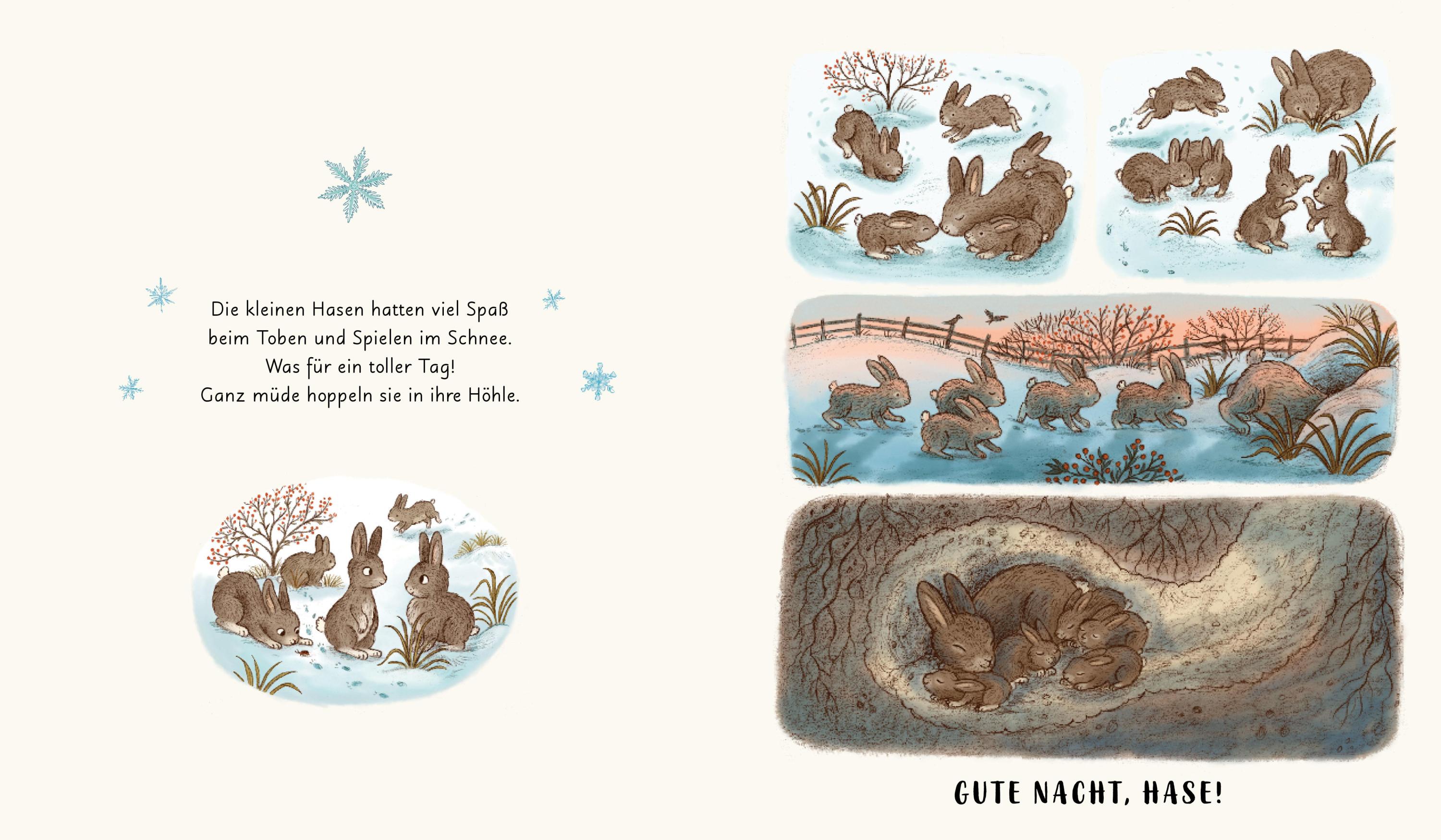 Wunder der Natur. Das Gute-Nacht-Buch