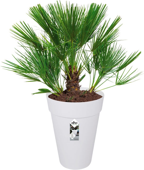 Elho bloempot Loft Urban wit D 27,5 H 35,8 cm