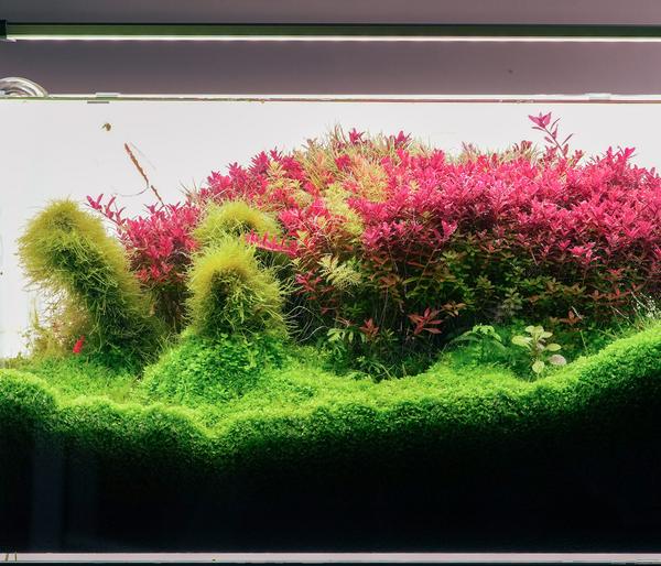 Chihiros Aquariumbeleuchtung LED-System B