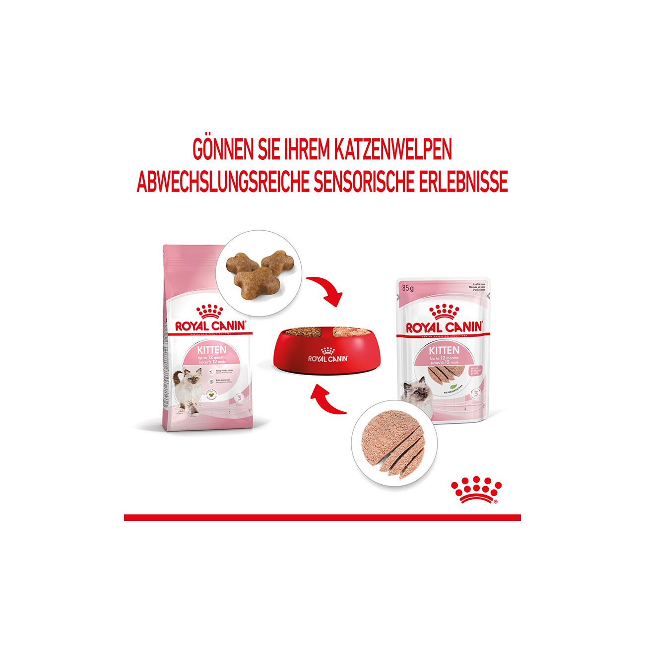 ROYAL CANIN Kitten Mousse in Soße 12x85 g