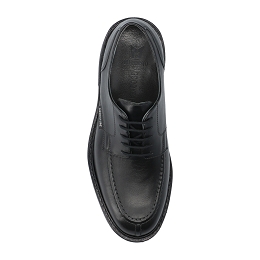 phoebus  ANTICA 8800  BLACK
