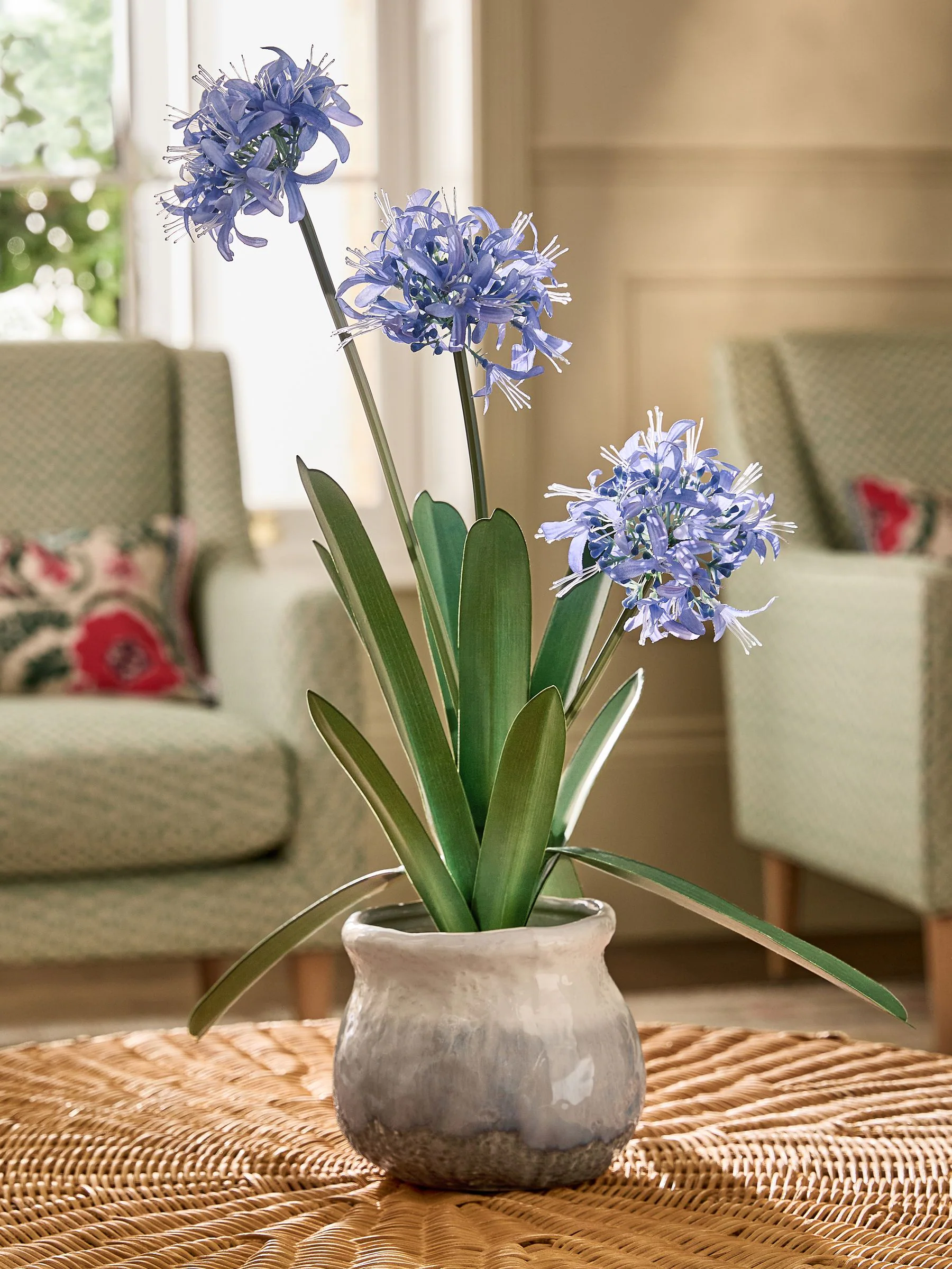Artificial Agapanthus Plant In Ceramic Pot