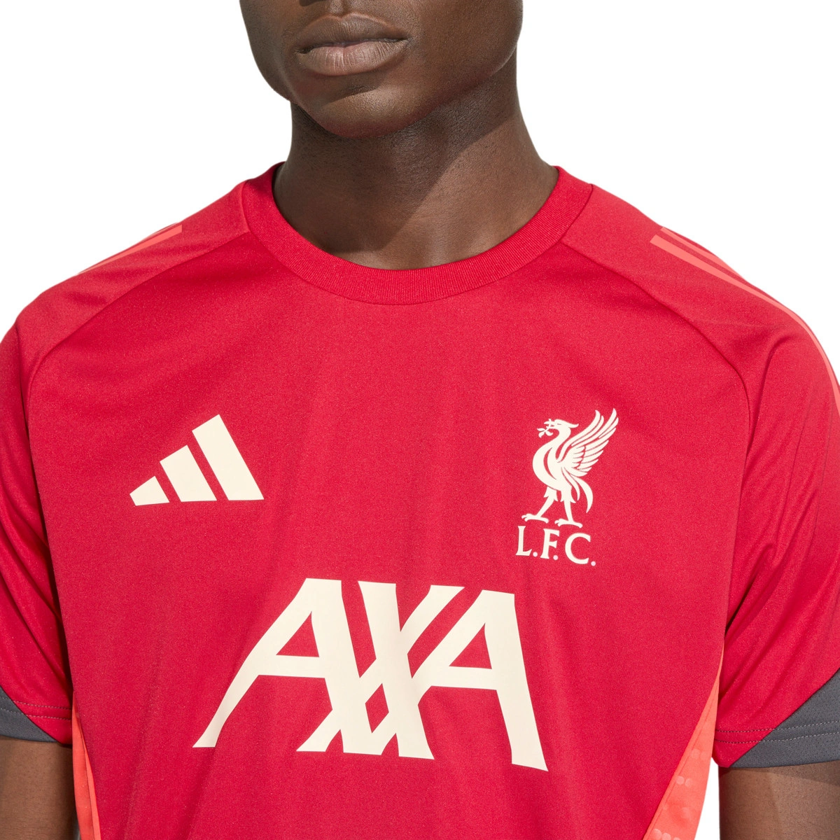 T-Shirt adidas Liverpool Fc Training 2025-2026