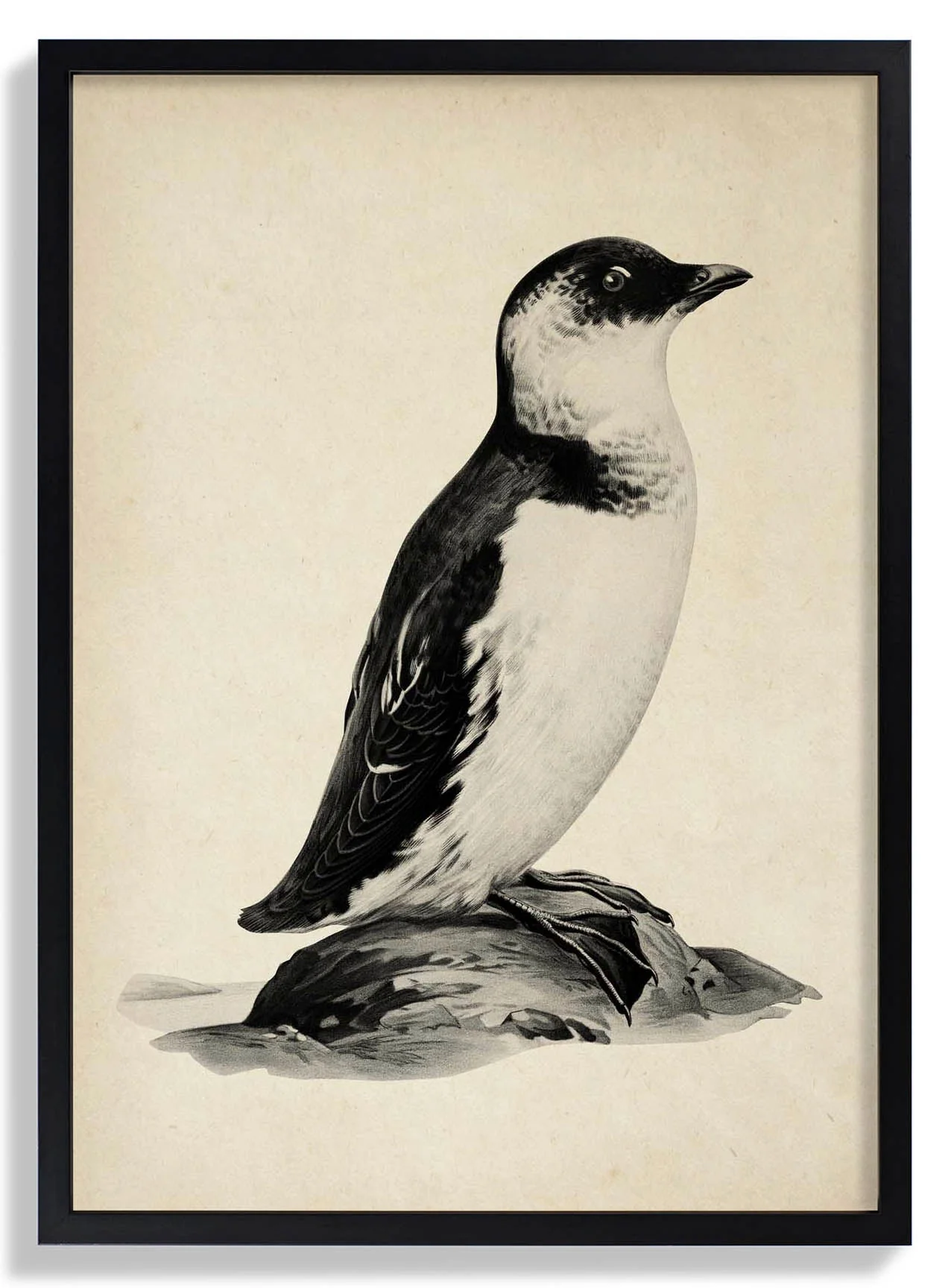Antiker Pinguin
