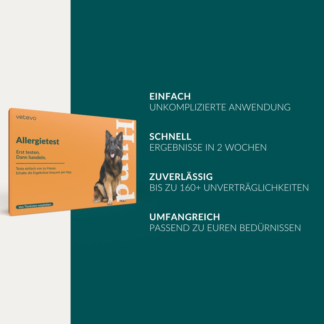Allergietest - Tierische Proteine Hund