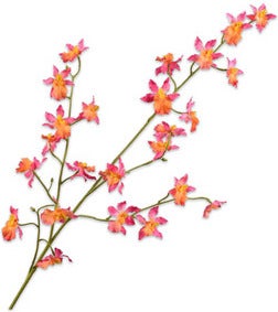Silk-Ka kunstbloem Tijgerorchidee oranje 100 cm