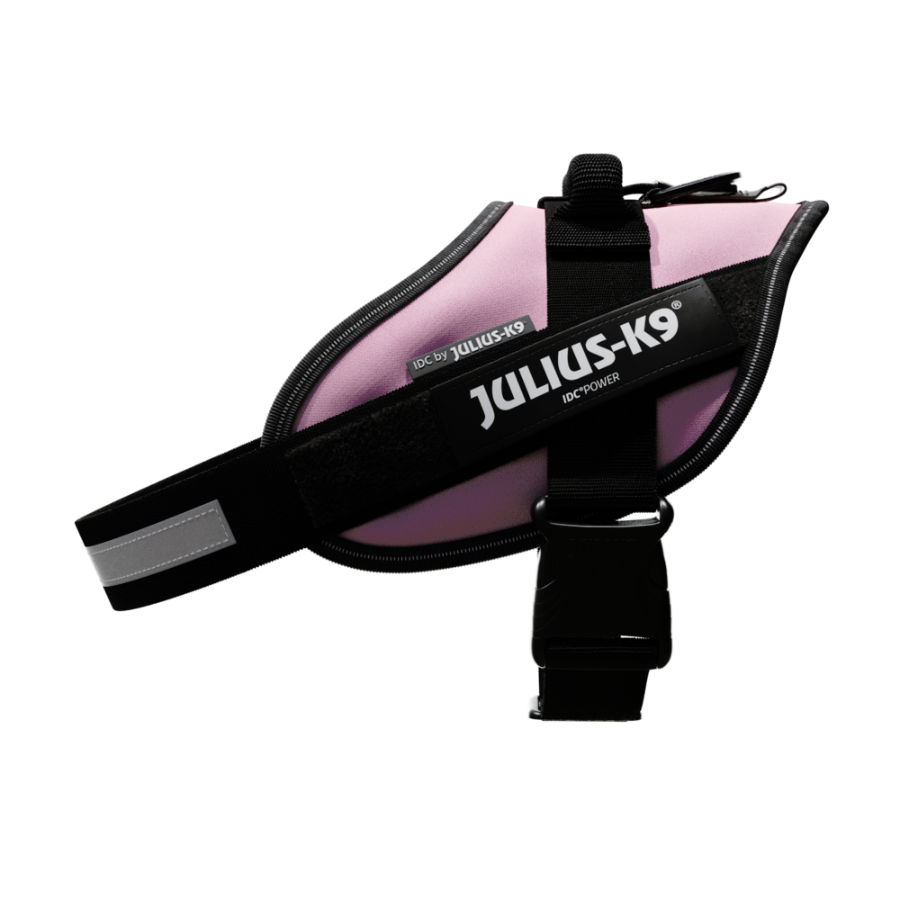 Coleira para cães Julius K9 IDC, rosa
