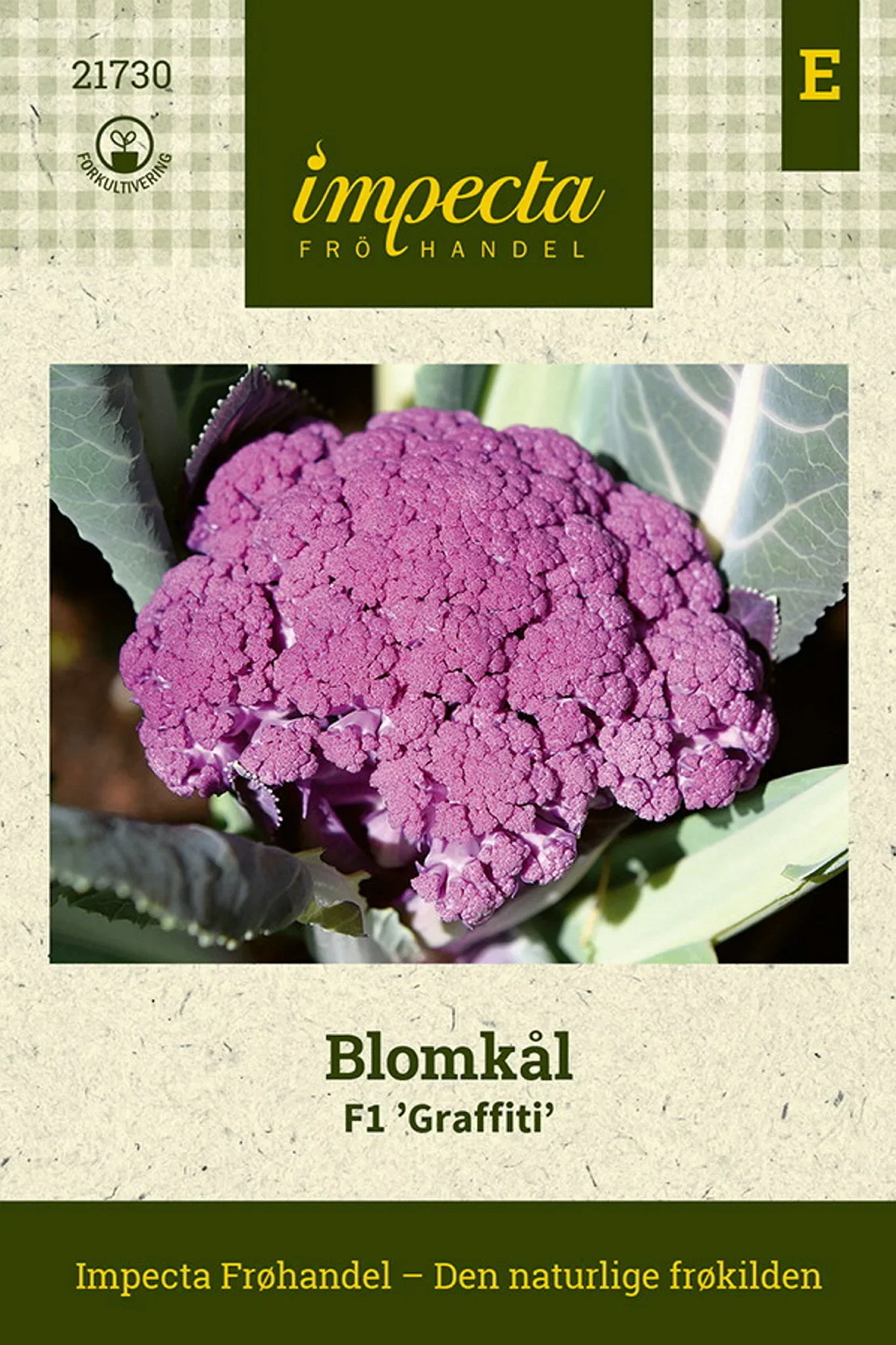 Brassica oleracea F1 'Graffiti' Blomkål F1 'Graffiti'