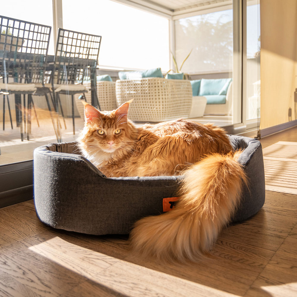 Dandy f couchette ferplast chiens chats rembourré double-face poil lavable
