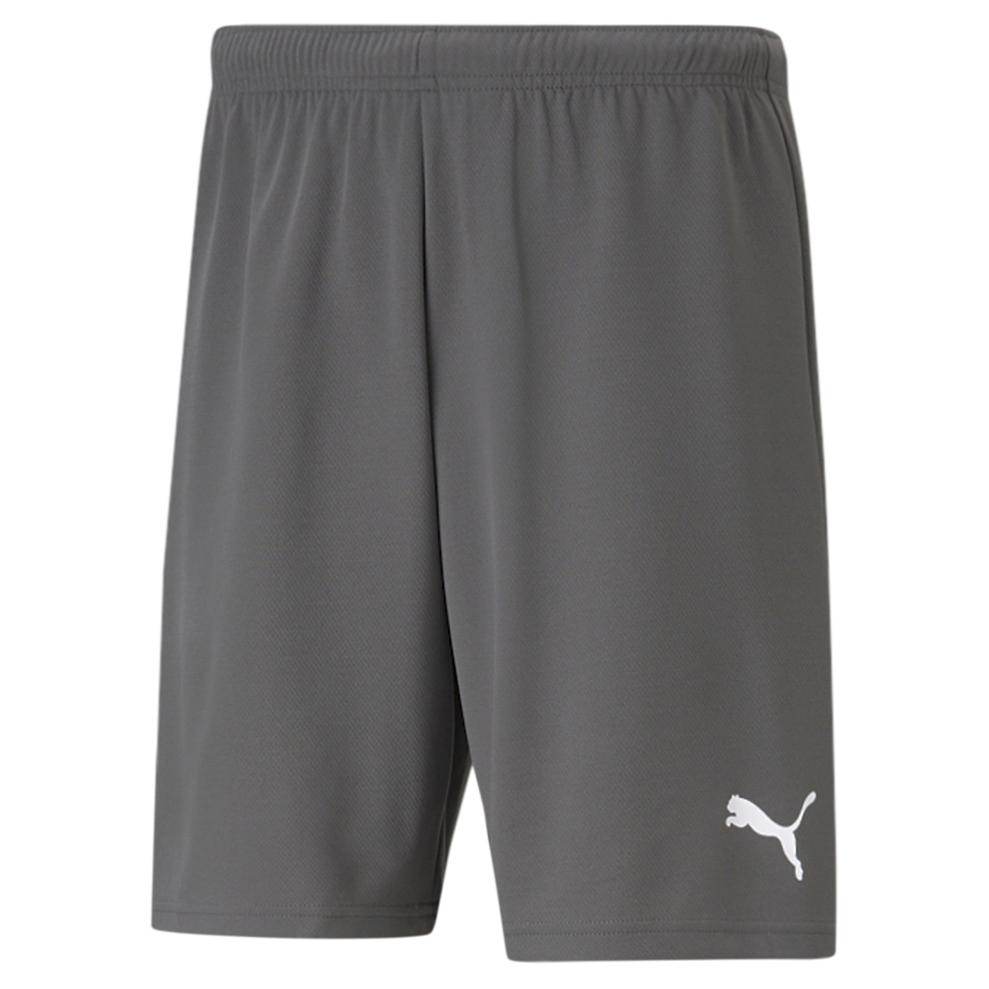 PUMA teamRISE Voetbalbroekje Grijs Wit