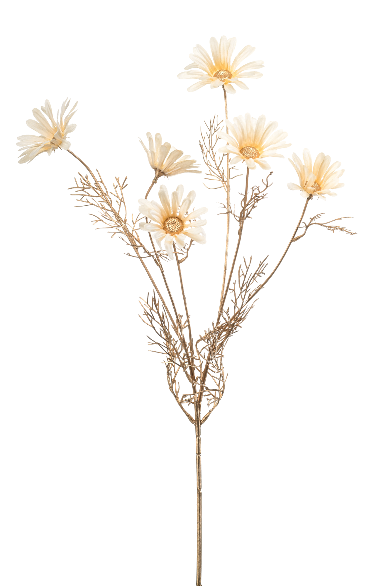Daisy spray cream