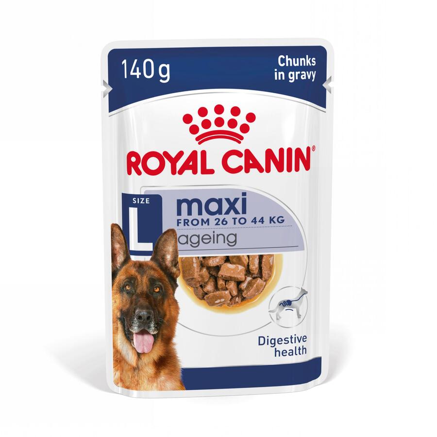 Sachê Royal Canin Maxi Ageing em molho para cães