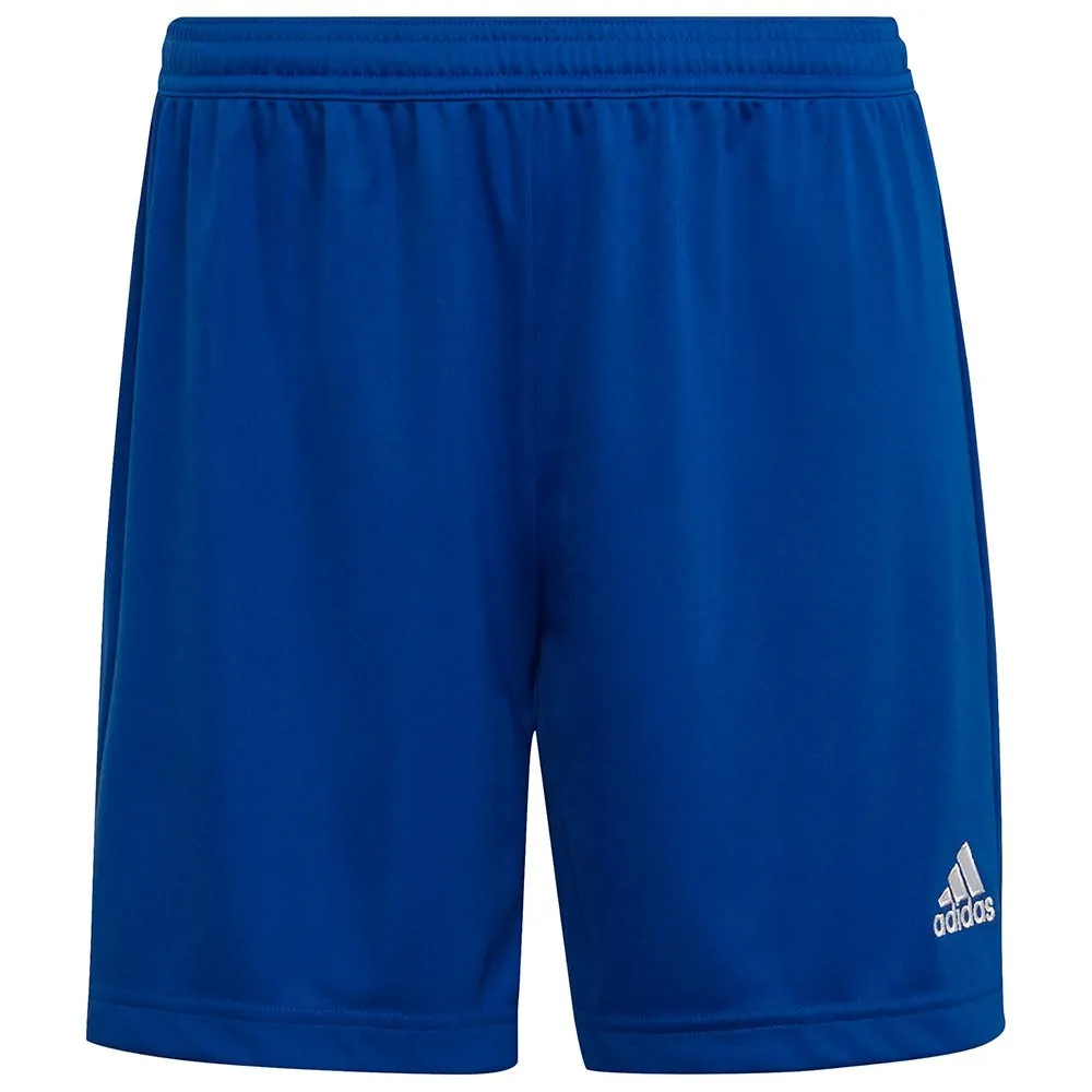 calções adidas Entrada 22