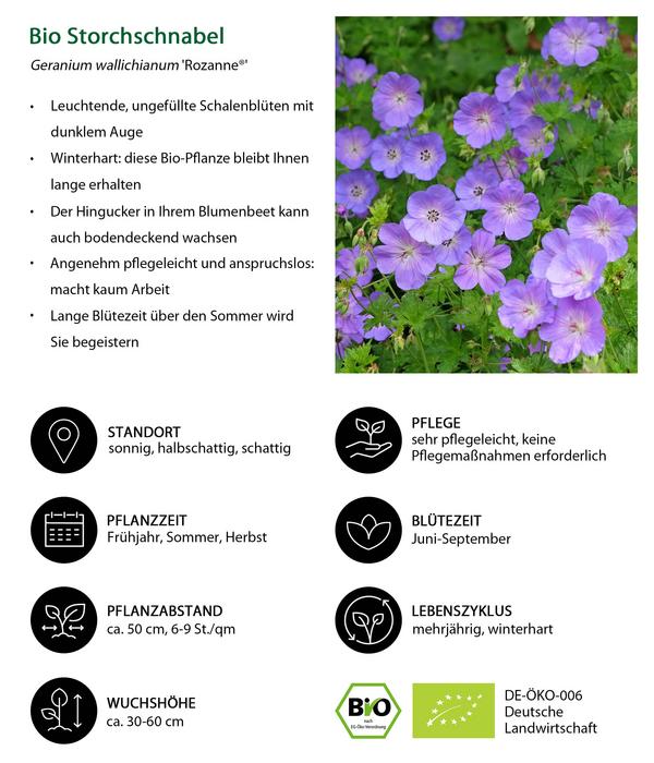 Bio Stauden-Set Alte Liebe, Landlust