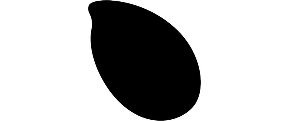 Farbpigmente Tinte 20 ml, SchwarzFarbpigment