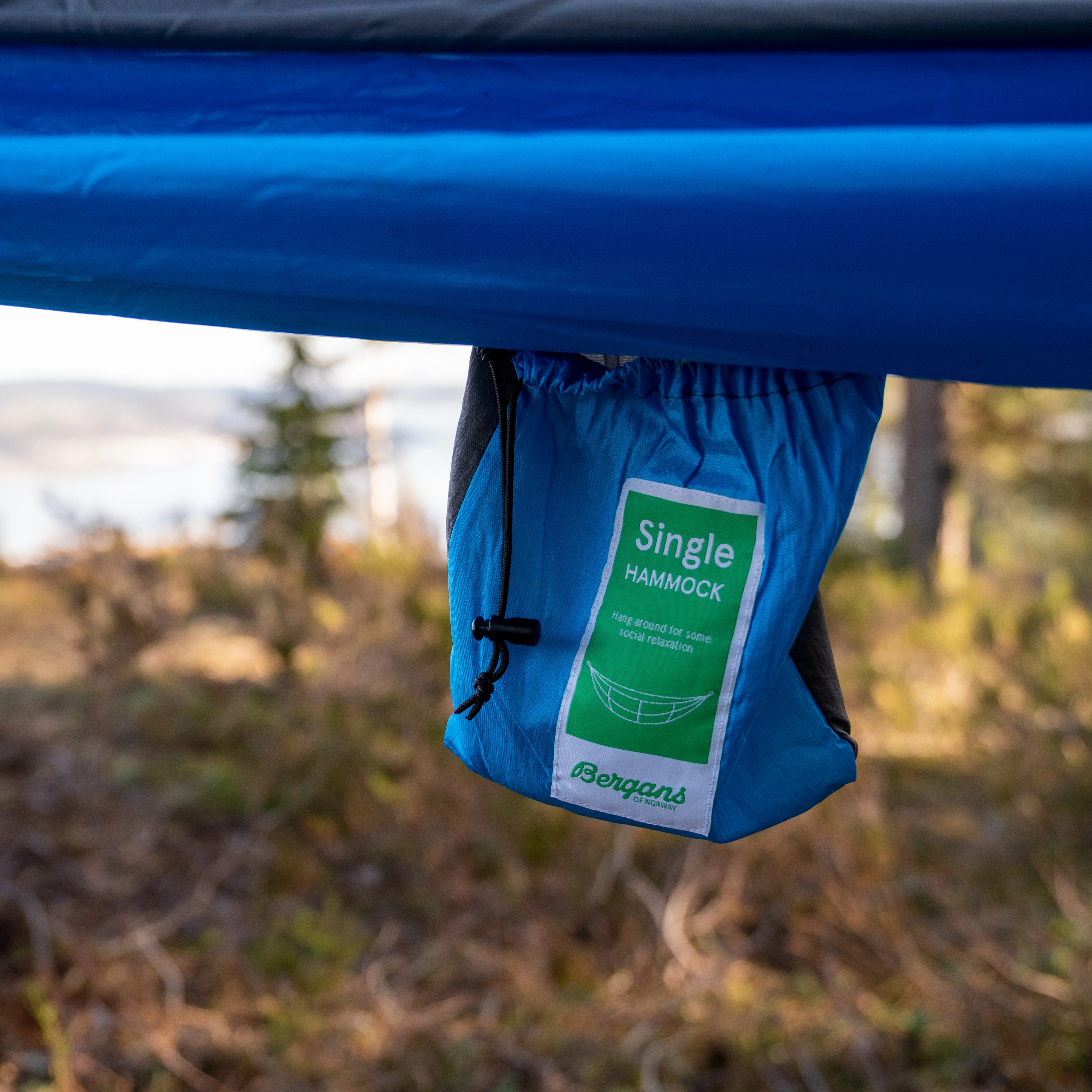 Single Hammock Blue