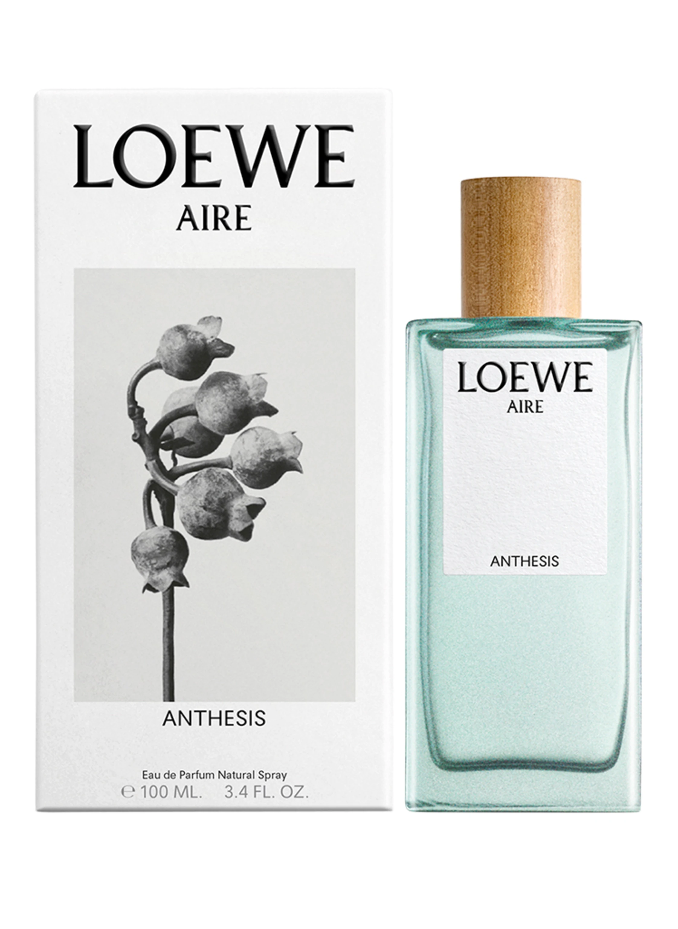 LOEWE AIRE ANTHESIS