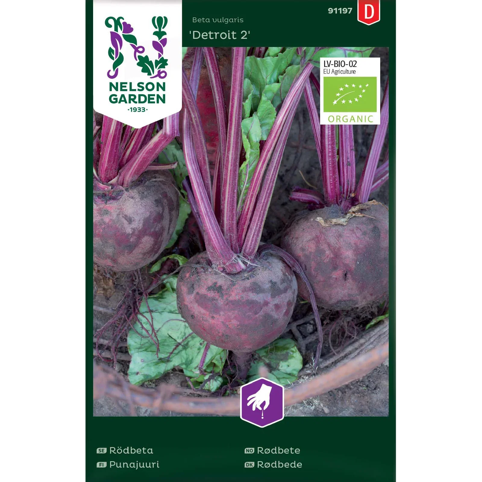 Beta vulgaris 'Detroit 2' Rødbete 'Detroit 2'