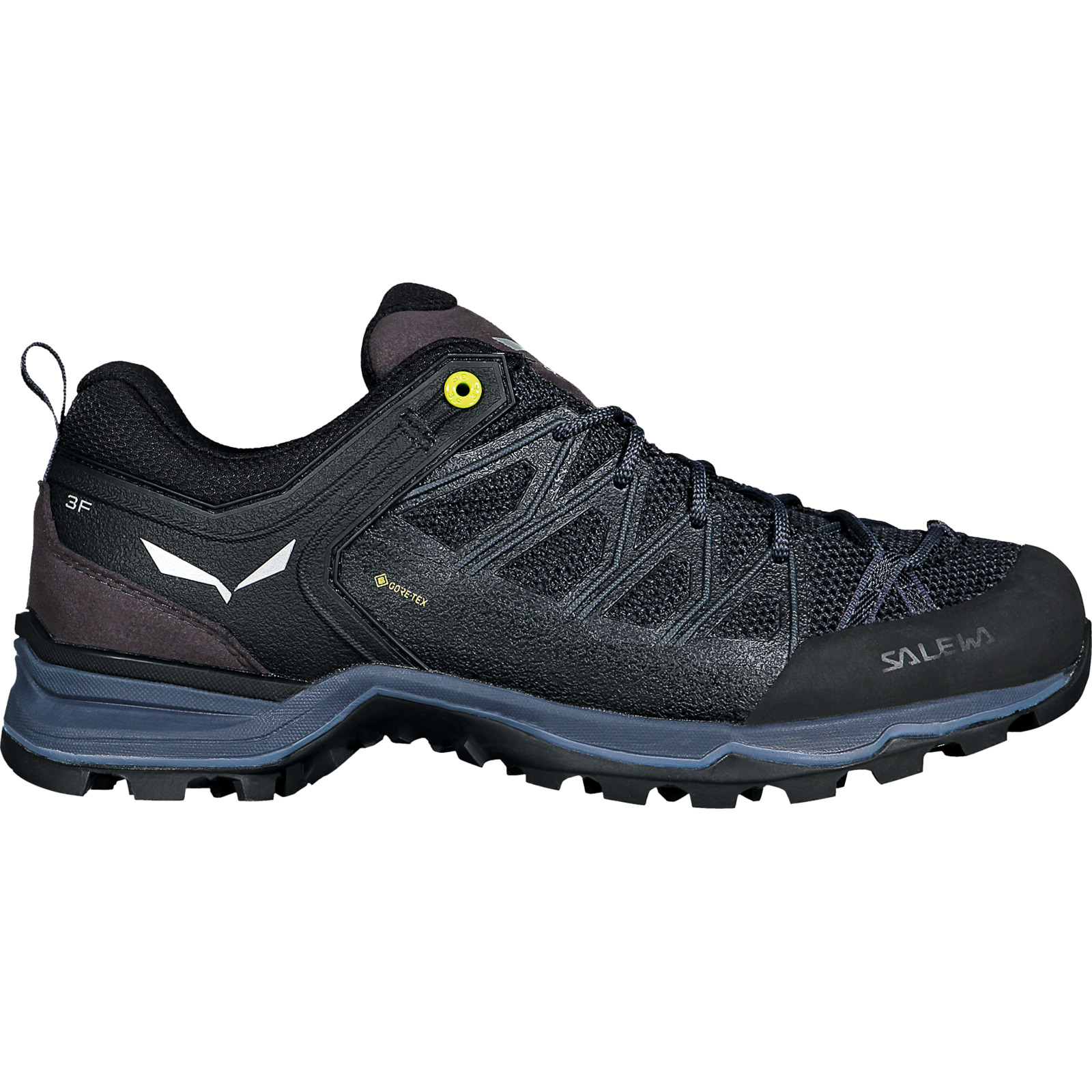 Salewa Herren-Trekkingschuh MTN Trainer Lite GTX braun, 44
