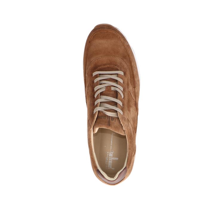 Van Bommel SBM-10020 lightbrown