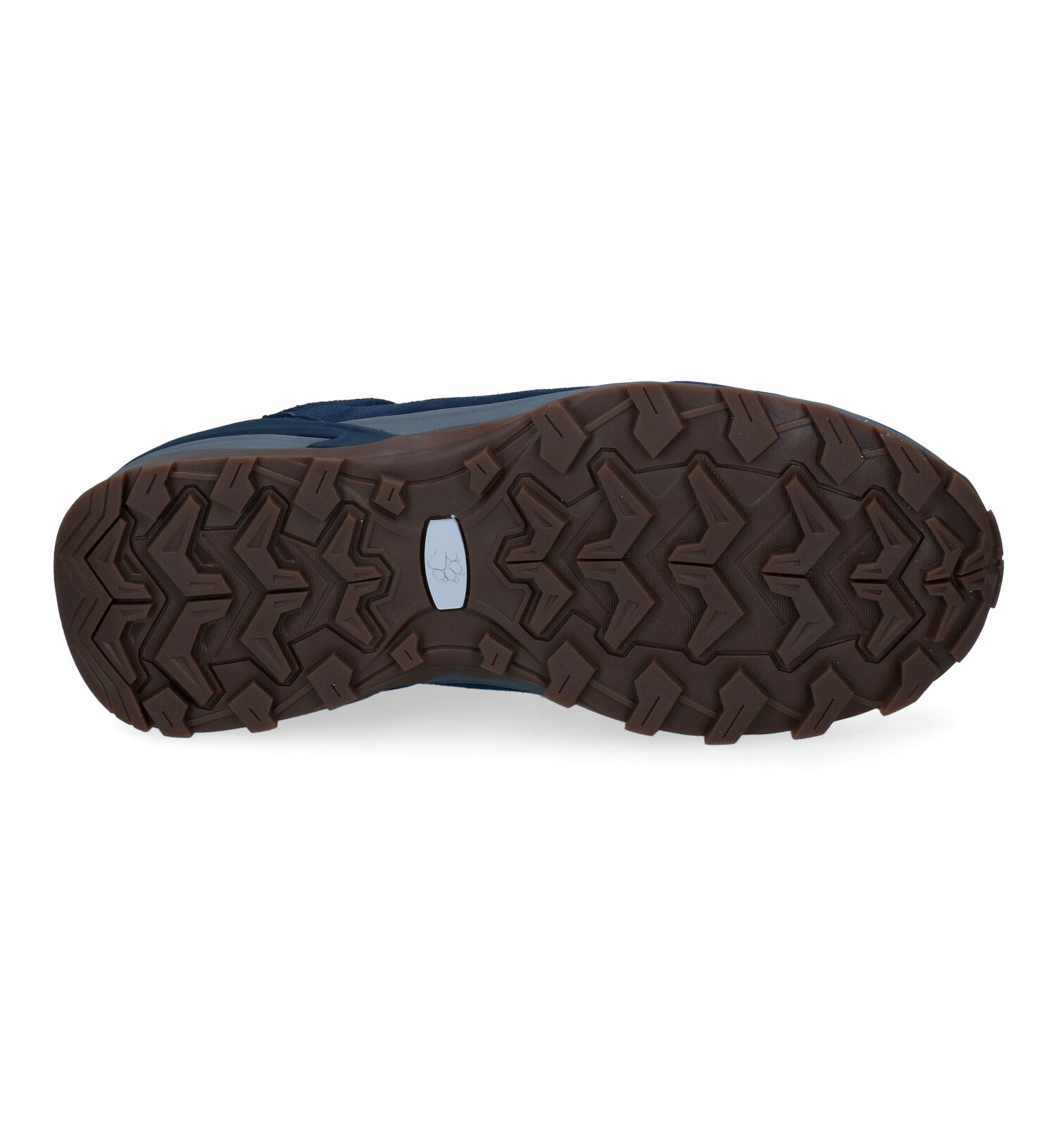 Wandelschoenen blauw
