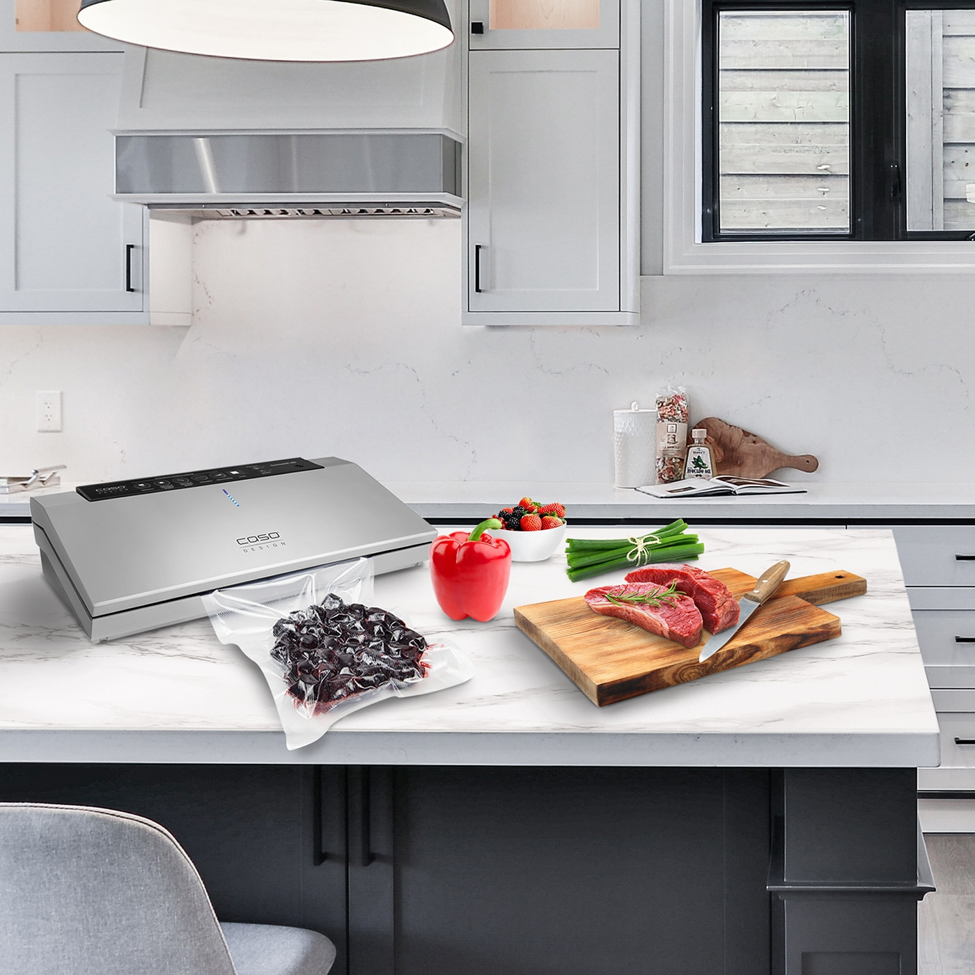 GourmetVAC 480