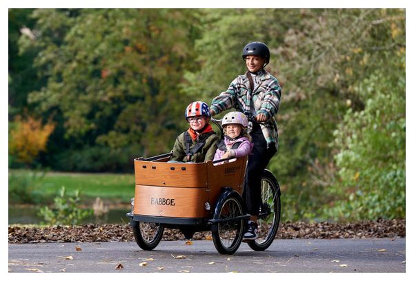 Vélo Cargo Triporteur Électrique Babboe Curve Mountain Enviolo NuVinci 500 Wh 20/26'' Gris Anthracite Marron