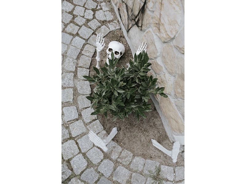 Partydeco Halloweenfigur Skelett 5-teilig Halloween Dekoration Skelett