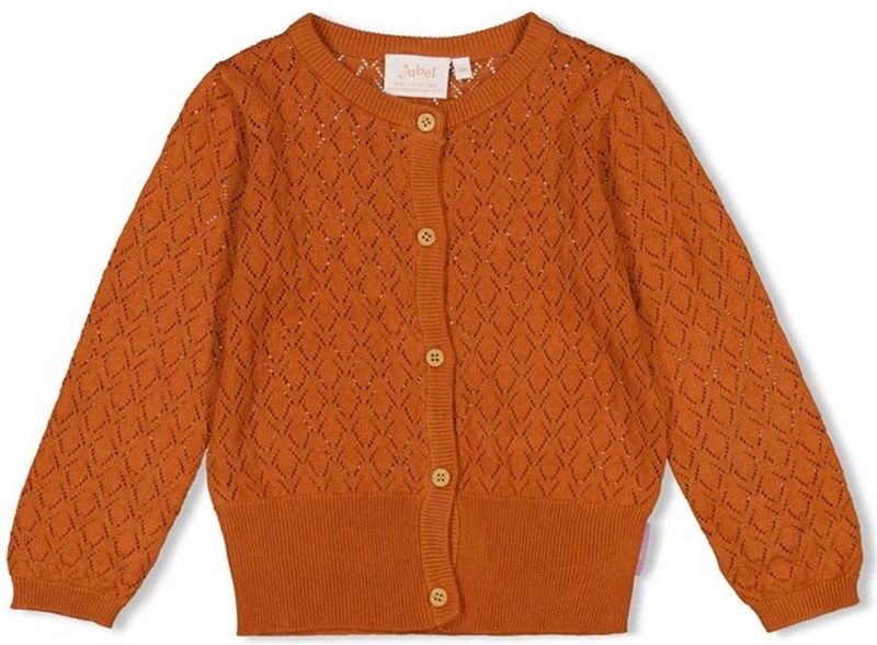 Jubel meisjes vest - Brique