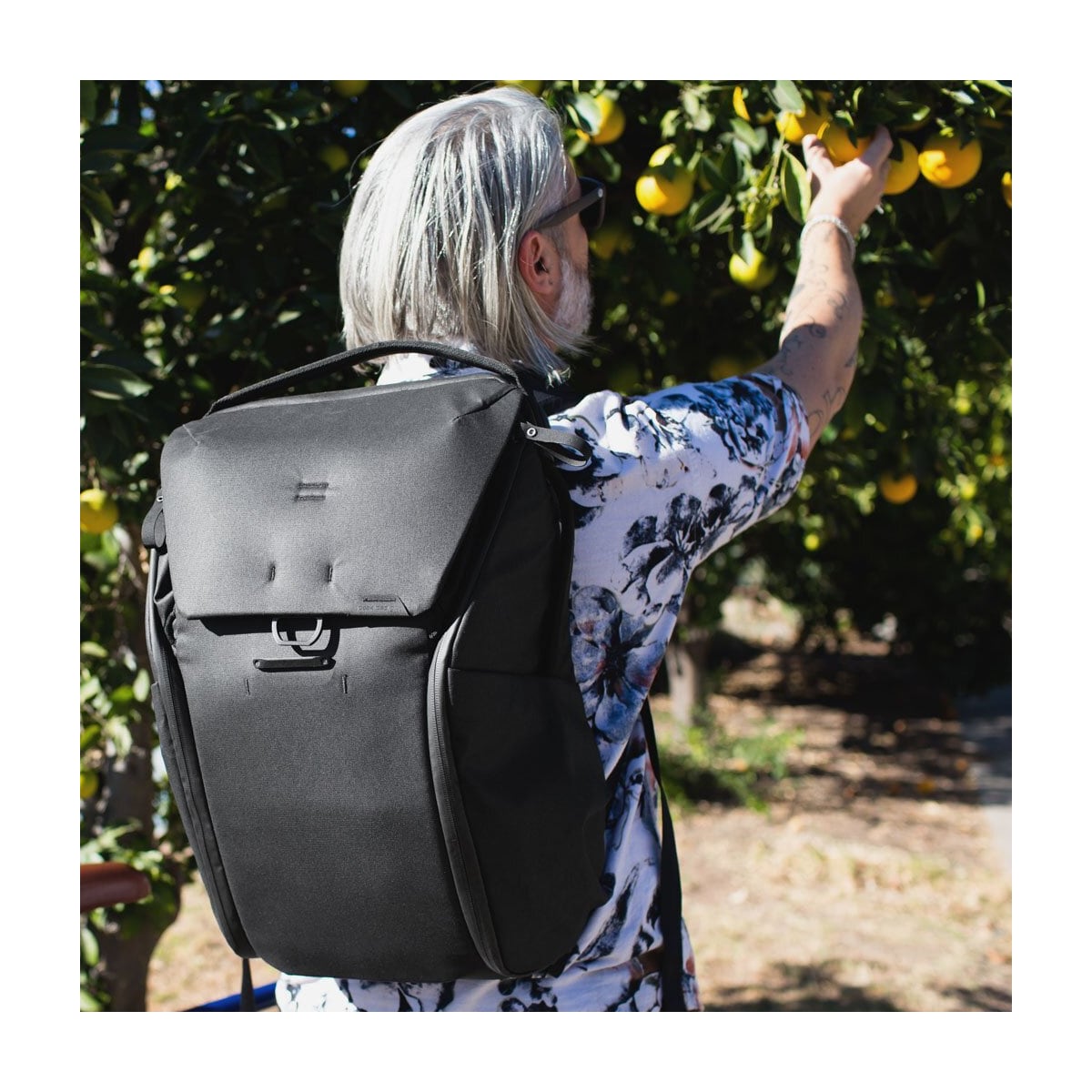 Peak Design Everyday Backpack V2 20L