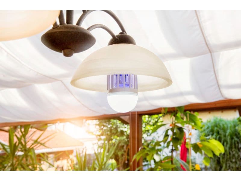 Windhager Lichtfalle-Leuchtmittel 1W/9W Leuchtmittel und Fluginsekten-Lichtfallen