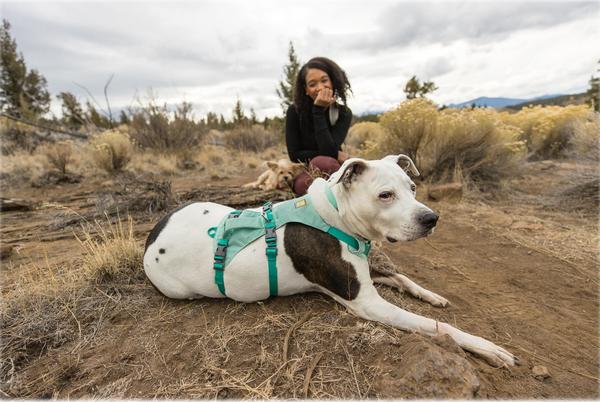 RUFFWEAR® Hundegeschirr Flagline Harness 2.0
