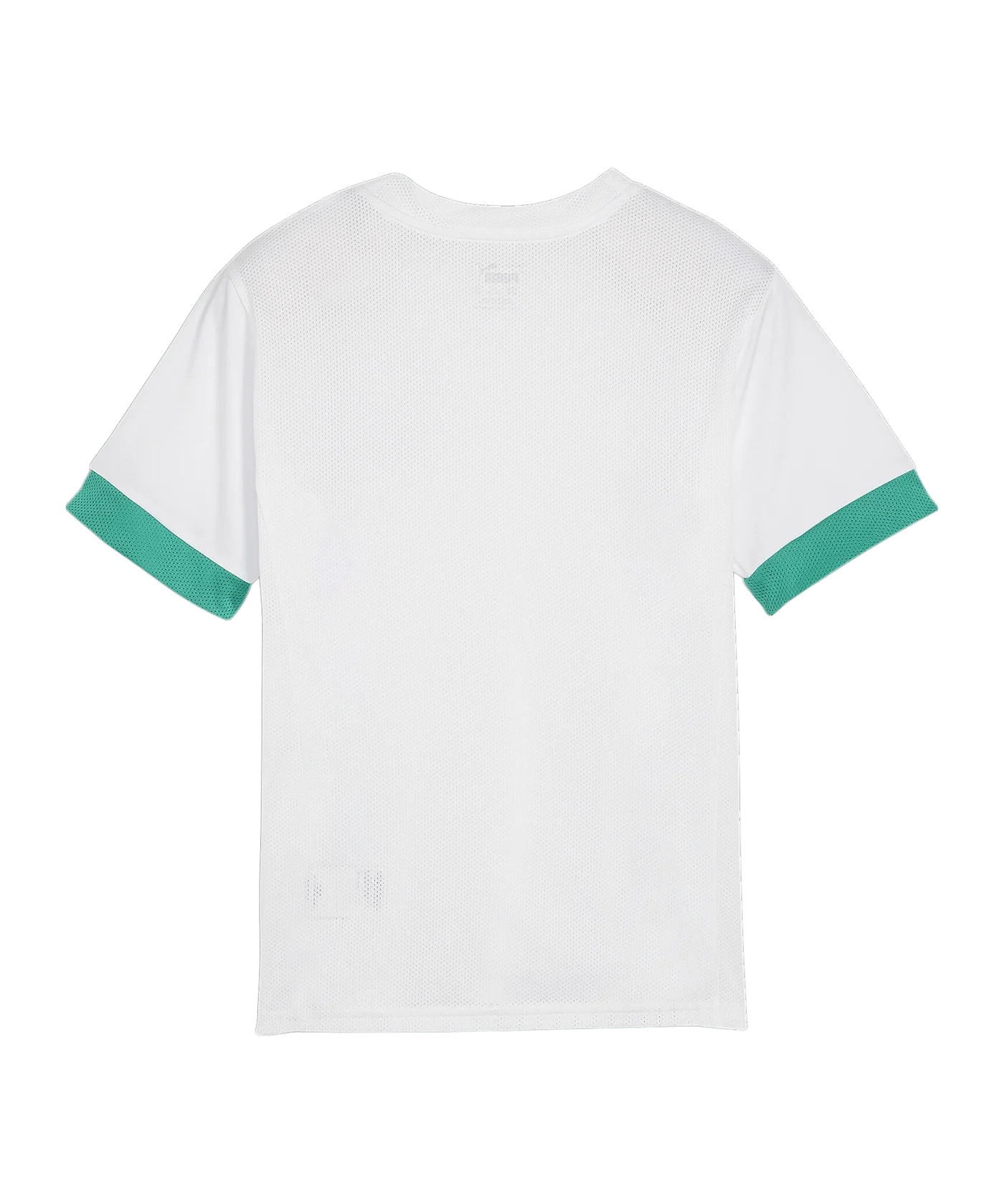PUMA teamGOAL Matchday Trikot Kids Weiss Grün F15