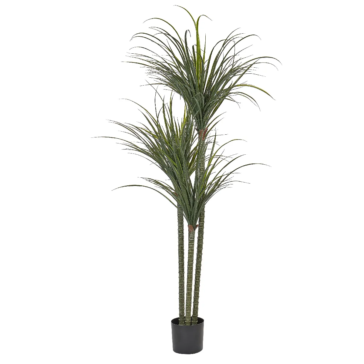 BELIANI DRACAENA ANITA 198 cm - Vert