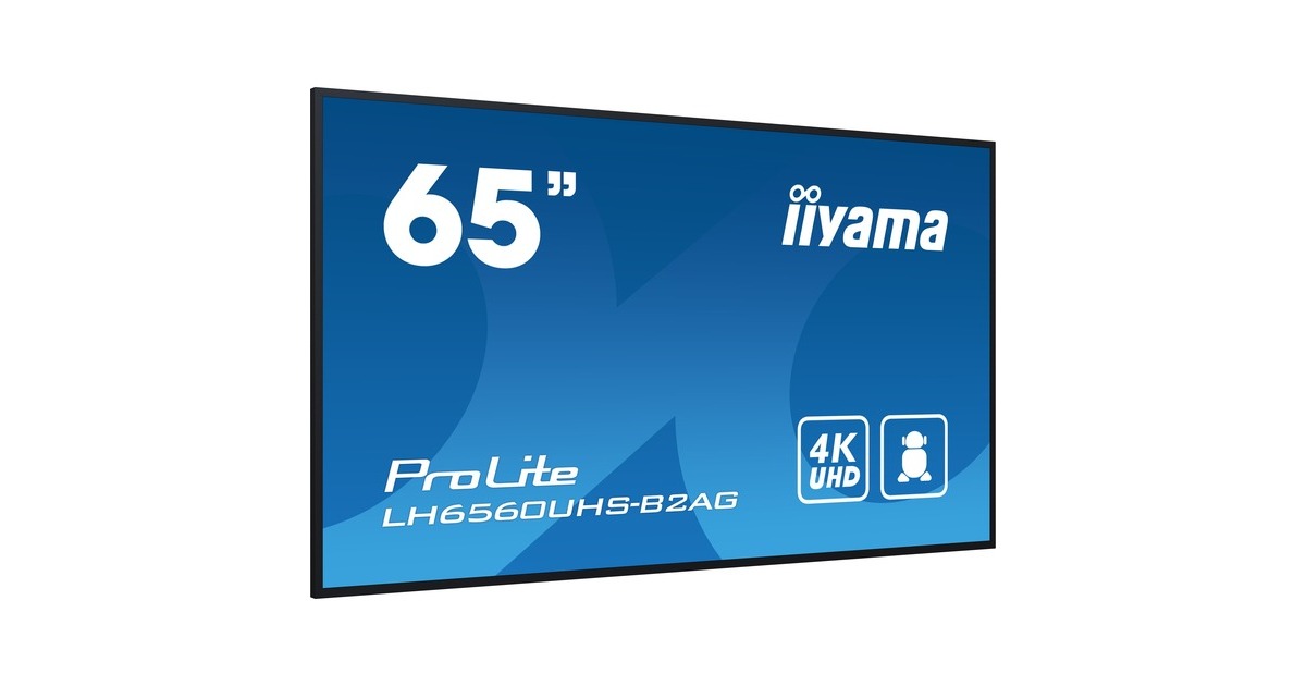 iiyamaProLite LH6560UHS-B2AG 64.5