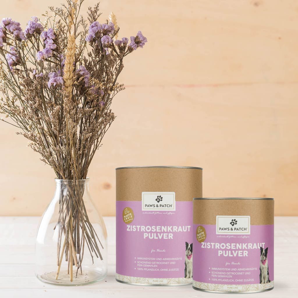 PAWS&PATCH ZISTROSENKRAUT Pulver für Hunde