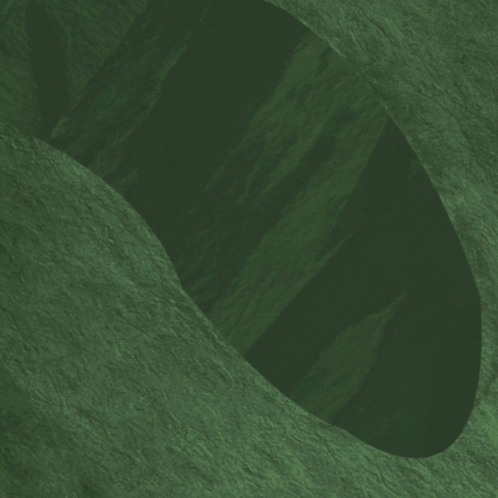 Komar Fototapete »Digitaldruck Vlies -  Botanic Harmony - Grösse 500 x 250 cm« bedruckt glatt Wohnzimmer, Schlafzimmer